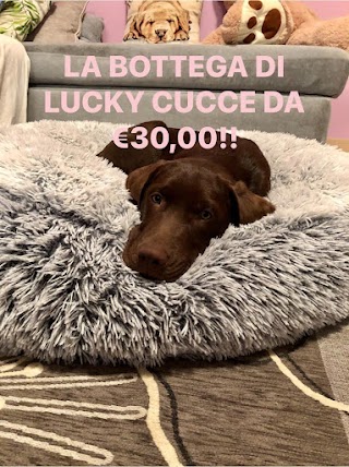 LA BOTTEGA DI LUCKY