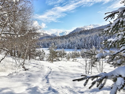 Riserva Naturale Di Pian di Gembro