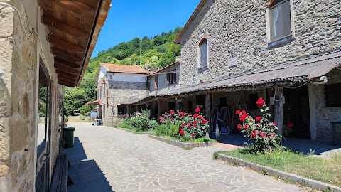 Agriturismo Pratinovi