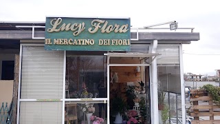 Lucy Flora di Nello Notaro