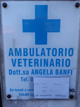 Cento Veterinario S.Anna Di Banfi Angela