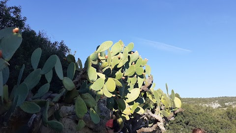 Centro visite di Pianelle, Montescaglioso (MT)