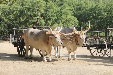 Parco della Grancia