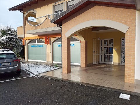 Ambulatorio Veterinario Bassignana Dr Luca