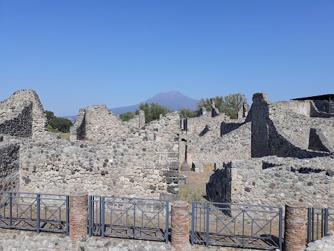 Pompei Tour Organizer