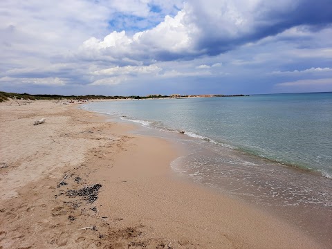 Spiaggia Torre Guaceto - Riserva Naturale