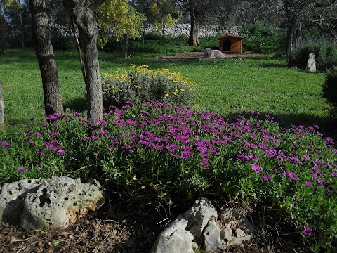 B&B La Gufa | Trulli e Natura