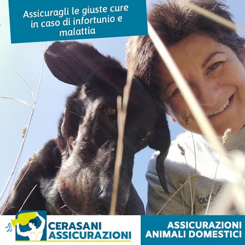 Cerasani Assicurazioni