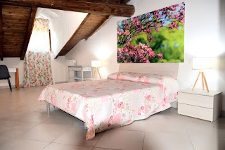 B&B Il Borgo Fiorito