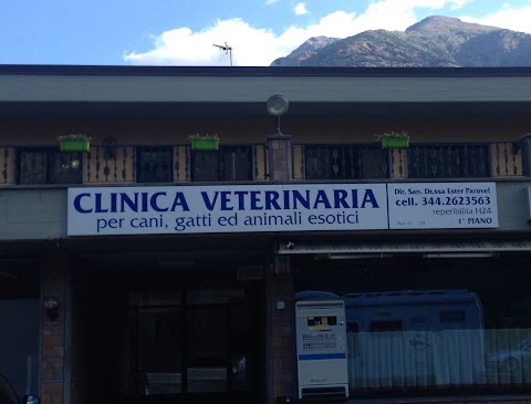 Clinica Veterinaria Saint Christophe