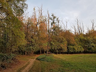 Ingresso area forestale della Valle del Boia