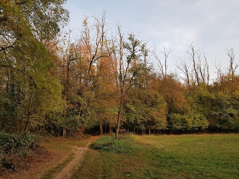 Ingresso area forestale della Valle del Boia