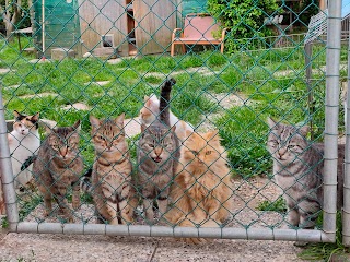 Gli Amici di Poldo