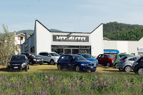 Vit.Auto srl