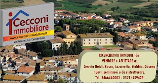 CECCONI IMMOBILIARE di Cecconi Alessandro