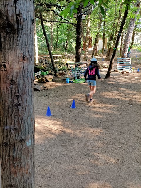 Campo Estivo Parco Avventura Madonie