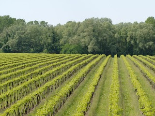 Enoteca San Nicolò - Le Rive