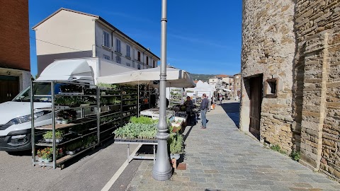 Alimentari Nati S.N.C. di Nati Annamaria e Franca