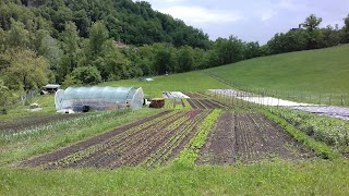 Societa' Agricola Radici Felici S.S.