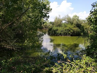 Selva di Paliano