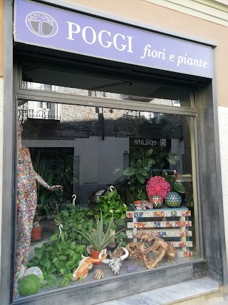 Poggi fiori e piante