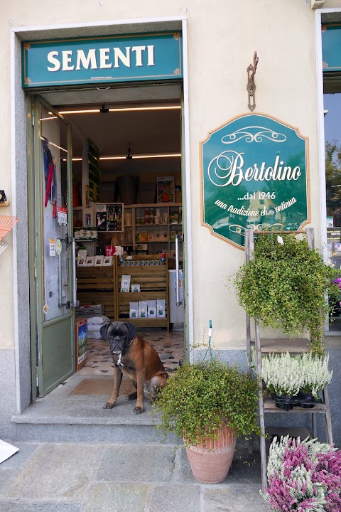 Bertolino Garden dal 1946 - Sementi e Prodotti per l'agricoltura