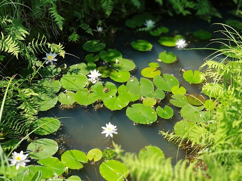 Oasi WWF degli Stagni di Casale "Alberto Carta"