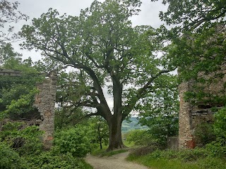 La Grande Quercia