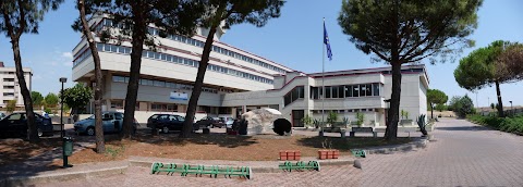 Università degli Studi Di Bari - Economia