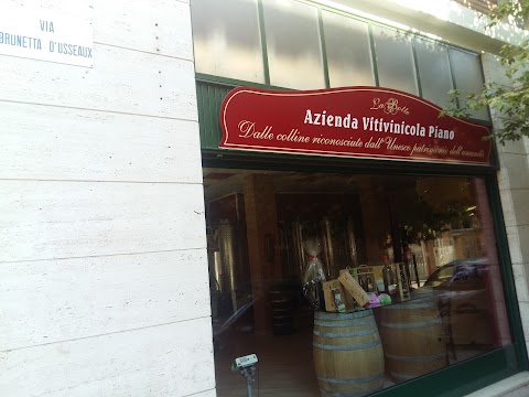 Azienda Vitivinicola Piano s.s. La Botte