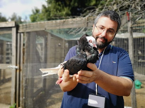 Fattoria degli Animali - Centro di Educazione Ambientale e Zooterapia