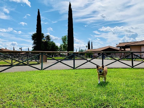 Casa In Maremma Tuscany Village