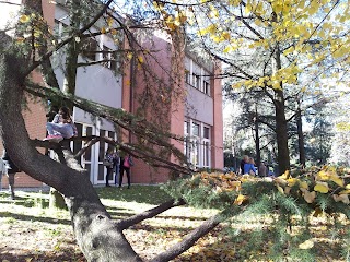 Istituto Farlottine - Scuola Media Sede San Tommaso