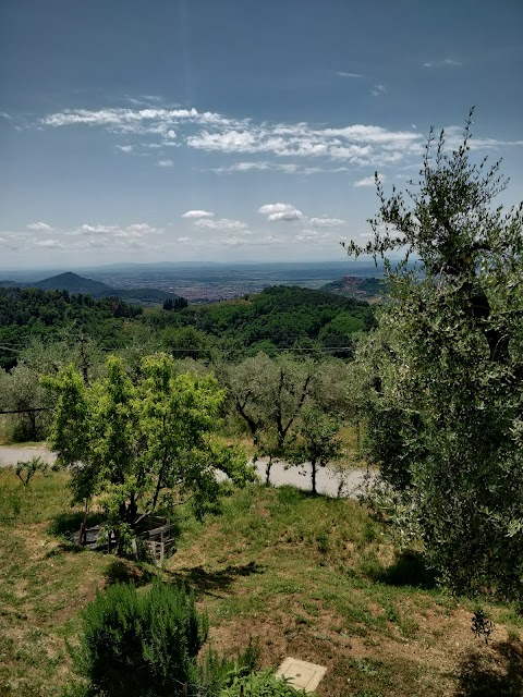 Agriturismo Il Bel Vedere