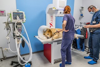 Ospedale Veterinario San Concordio