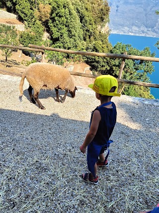 Agriturismo il Fondaco