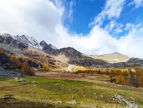 The Walking Bob - Escursioni & Trekking