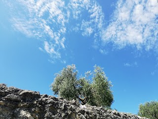 Villa L'Oliveta