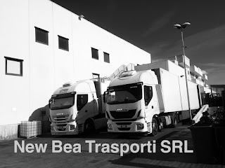 New Bea Trasporti