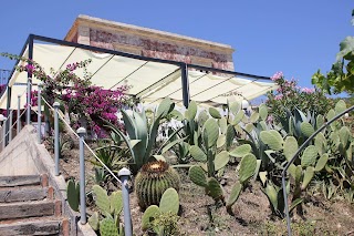 Primo Passo Sea Garden