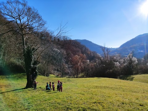 La scuola nel boscoPriabona-