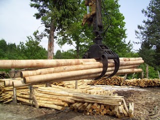 Traversari Paolo - Azienda Agricola