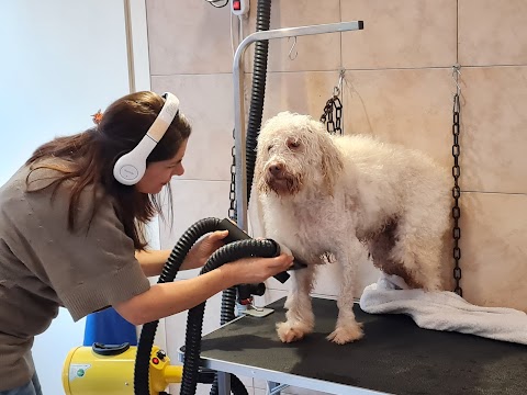 Baffi Buffi Toelettatura di Claudia Chiarolini