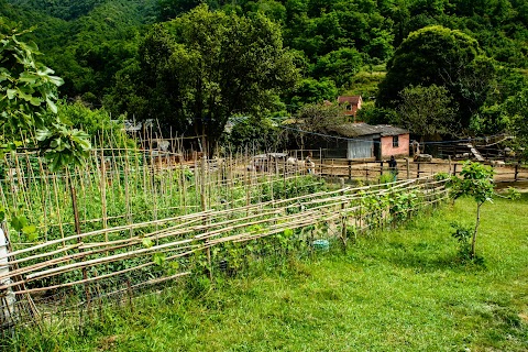 Fattoria Didattica Il Ciliegio