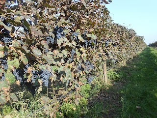 Agriturismo La Volta delle Rondini