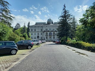 Università Degli Studi Di Trento