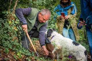 Truffle in Tuscany - Truffle Hunting Experience