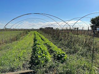 SAF 365 | Azienda Agricola Biologica