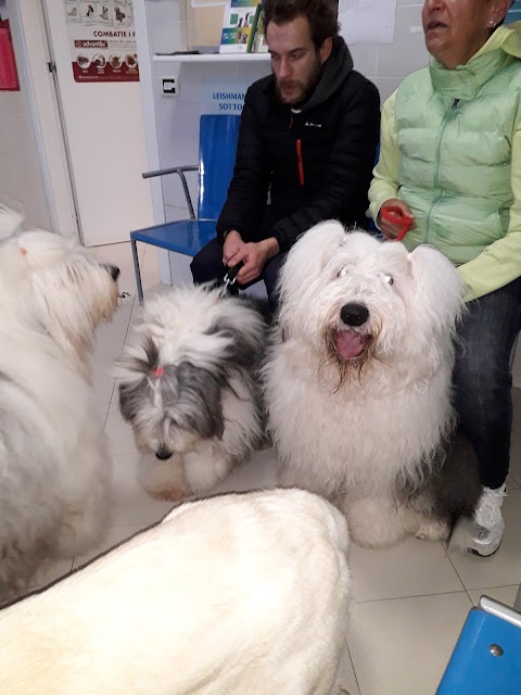 Ambulatorio Veterinario "La Croce Azzurra"