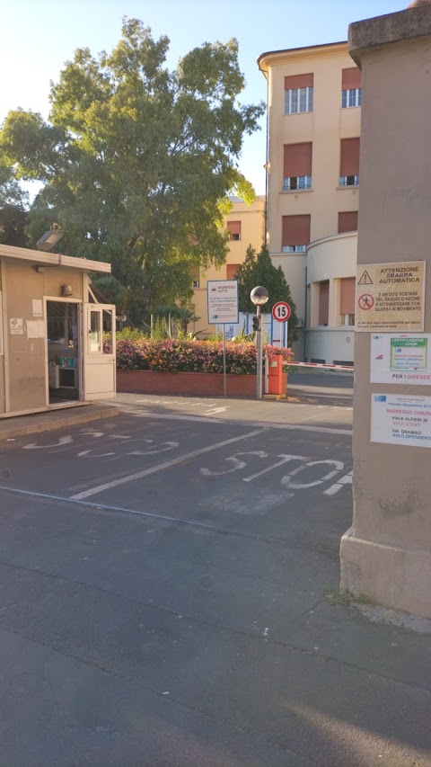 entrata carraia ospedale